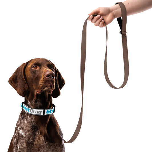 Pet collar